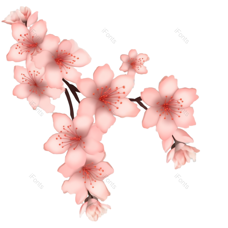 粉红色的花图片,樱花元素,灰色背景PNG,免抠素材
